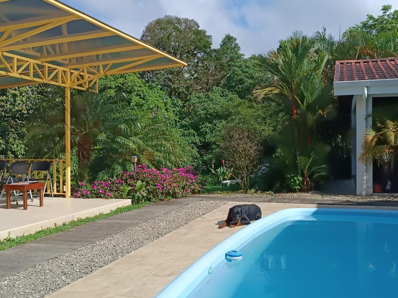 Lakegardens Arenal Condos Нуэво-Ареналь Экстерьер фото